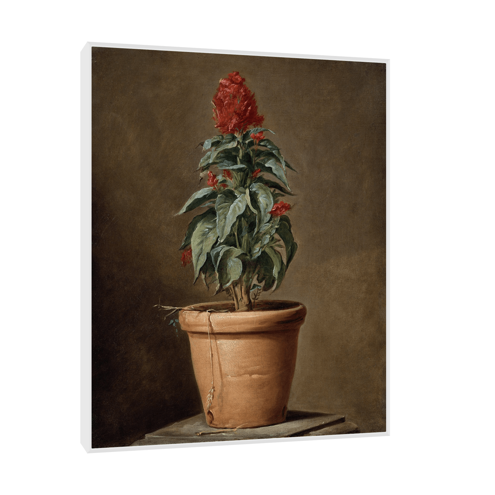 A Potted Plant, Henri-Horace Roland Delaporte - ArtDeco Canvas