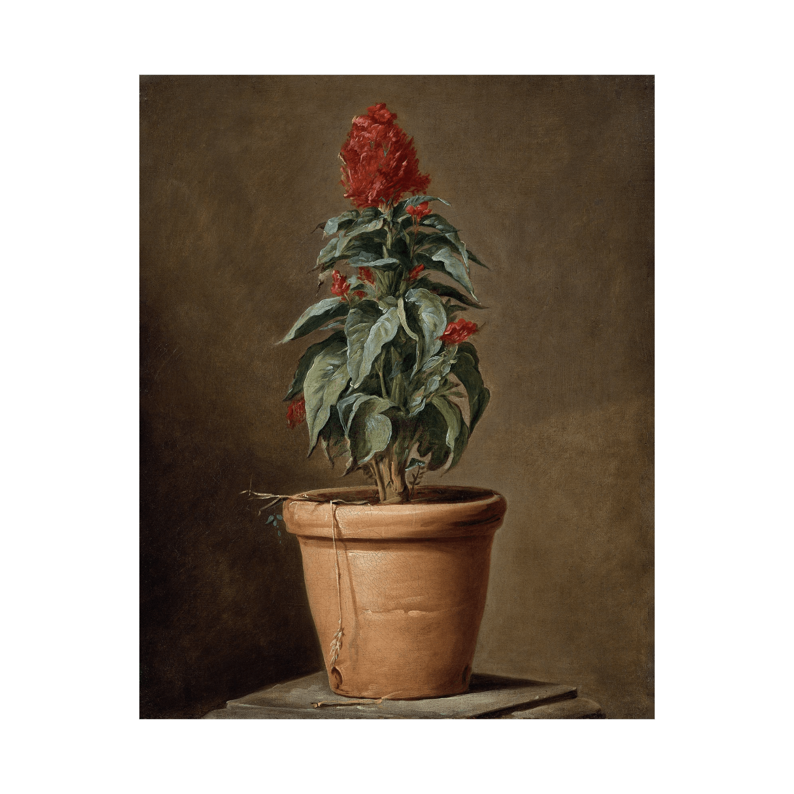 A Potted Plant, Henri-Horace Roland Delaporte - ArtDeco Canvas