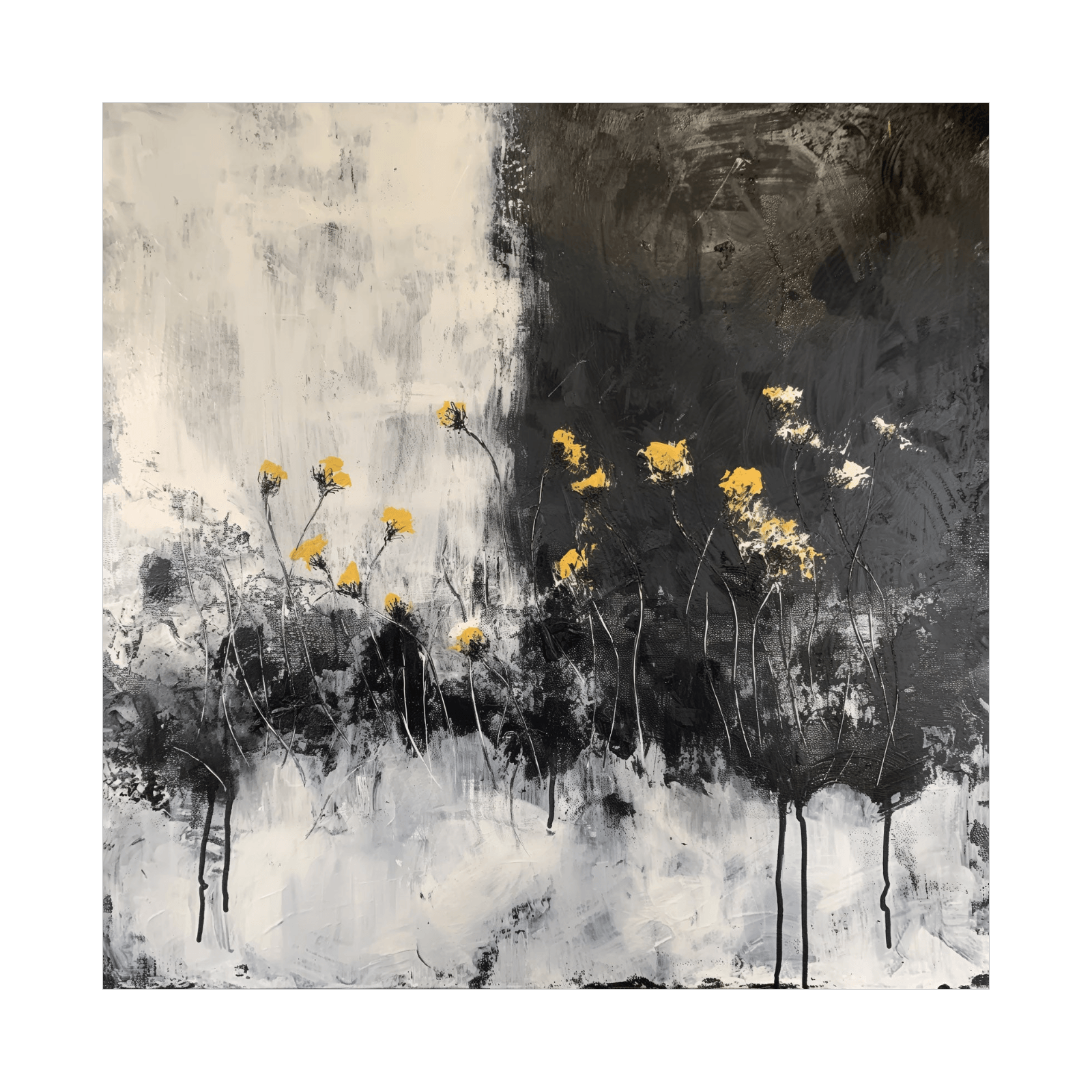 Black and white world