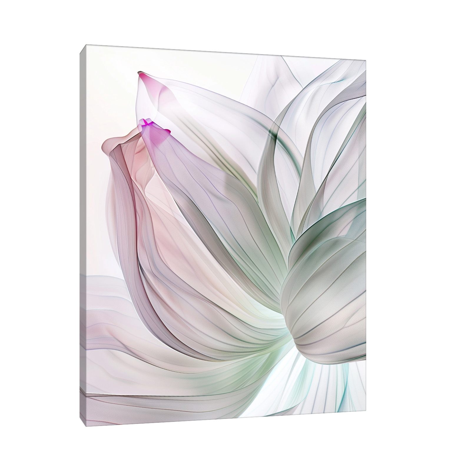 Blossom