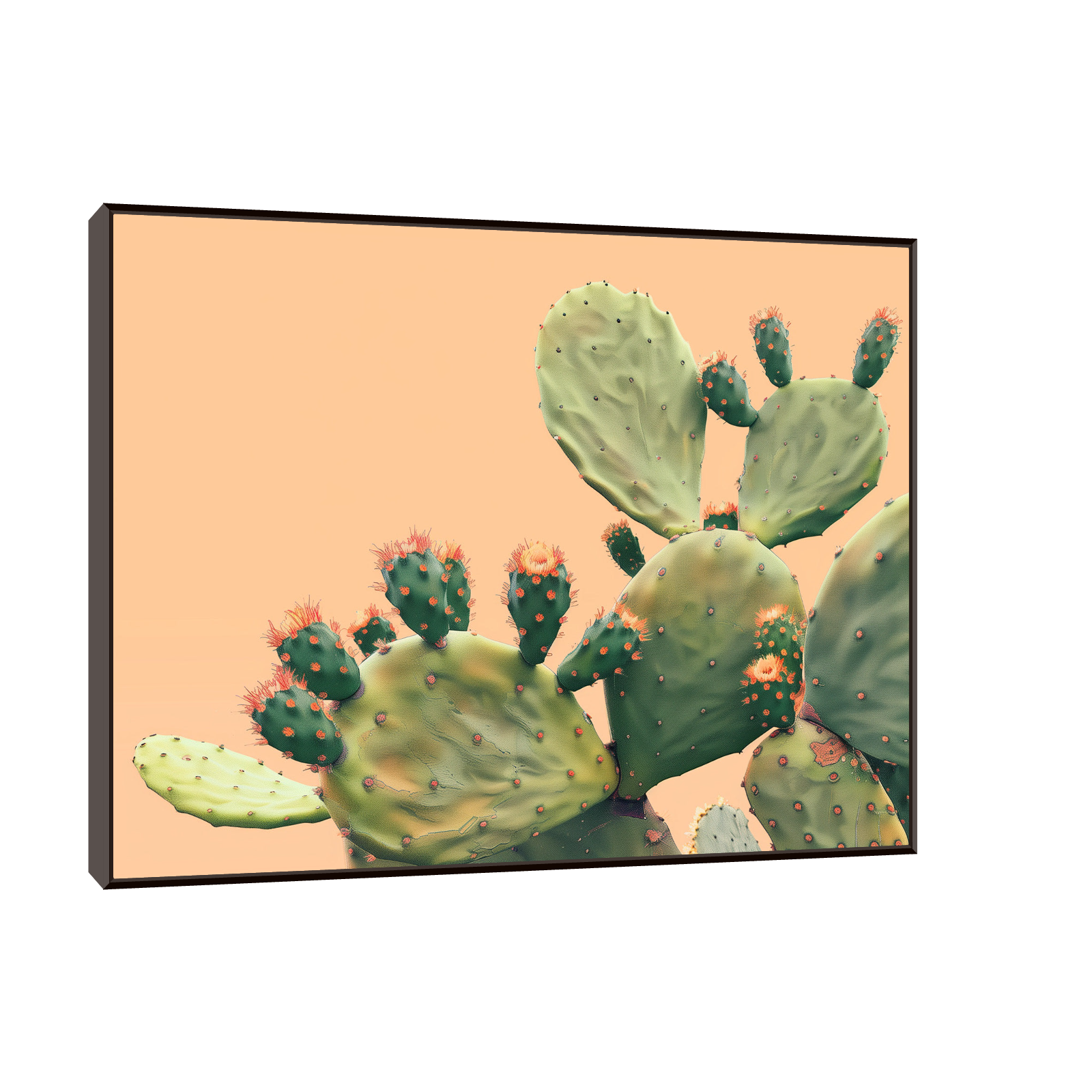 Cactus series II