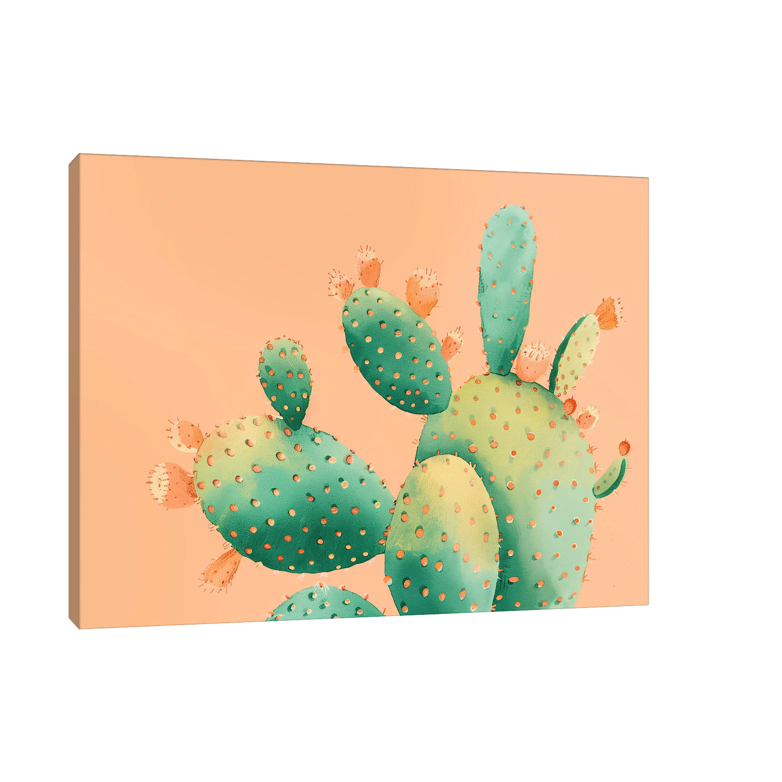 Cactus series IV