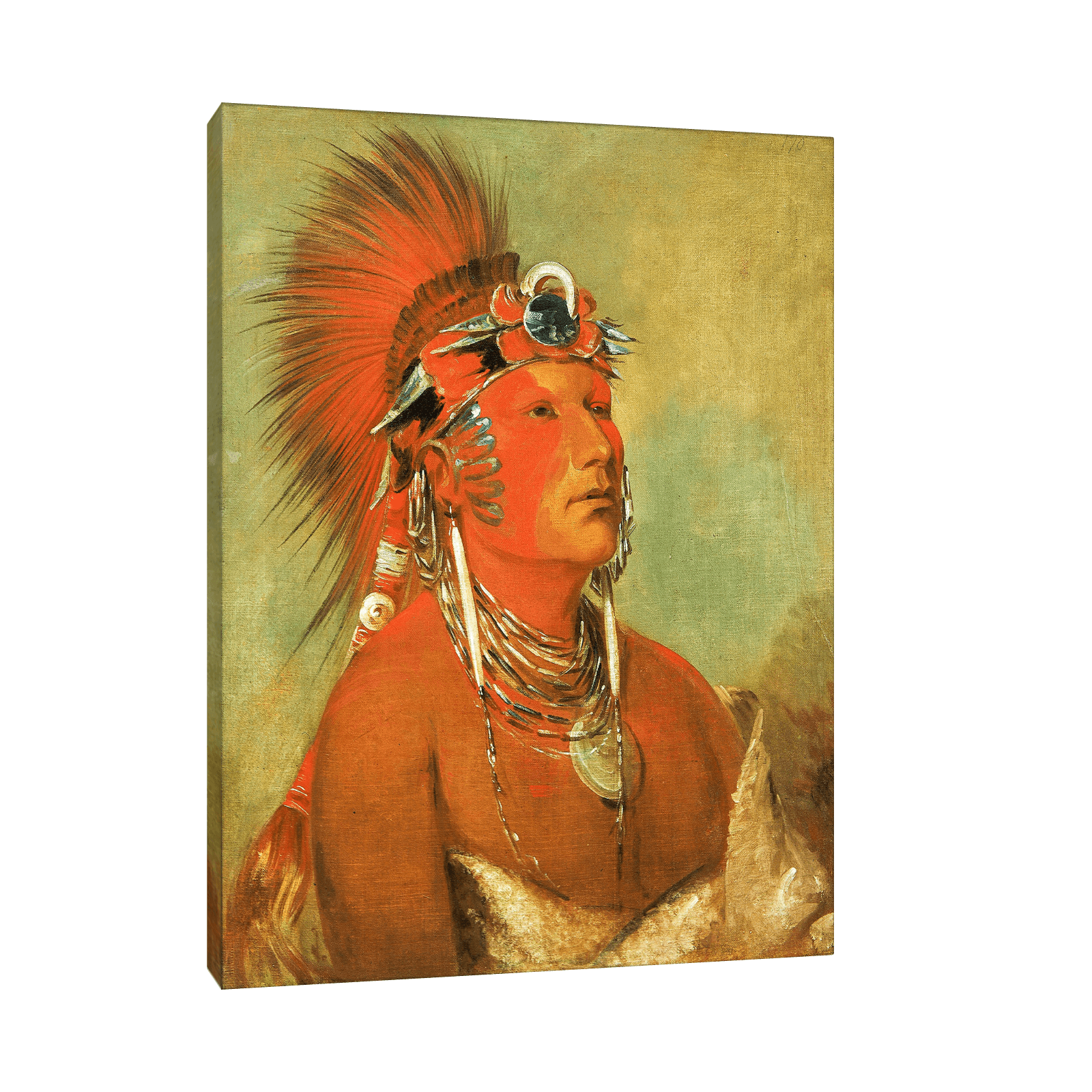 Cannot Be Thrown Down, a Warrior, George Catlin - ArtDeco Canvas