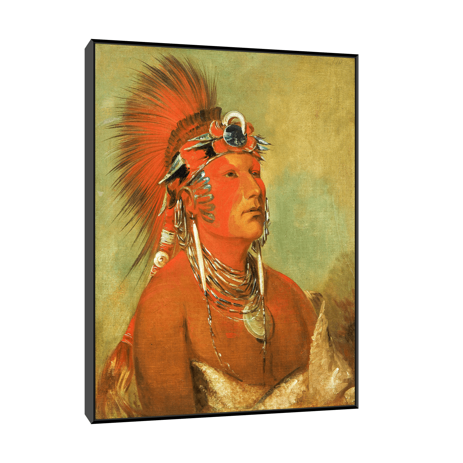 Cannot Be Thrown Down, a Warrior, George Catlin - ArtDeco Canvas