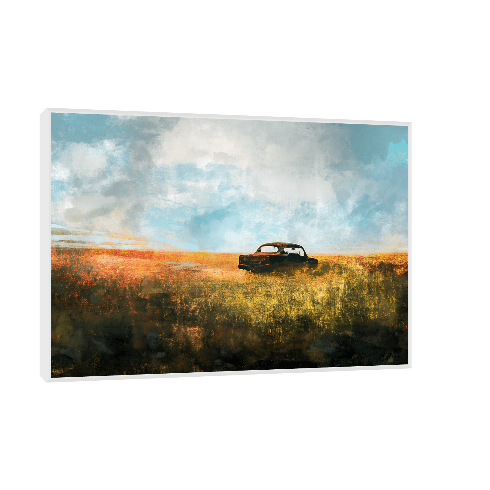 Car in the field