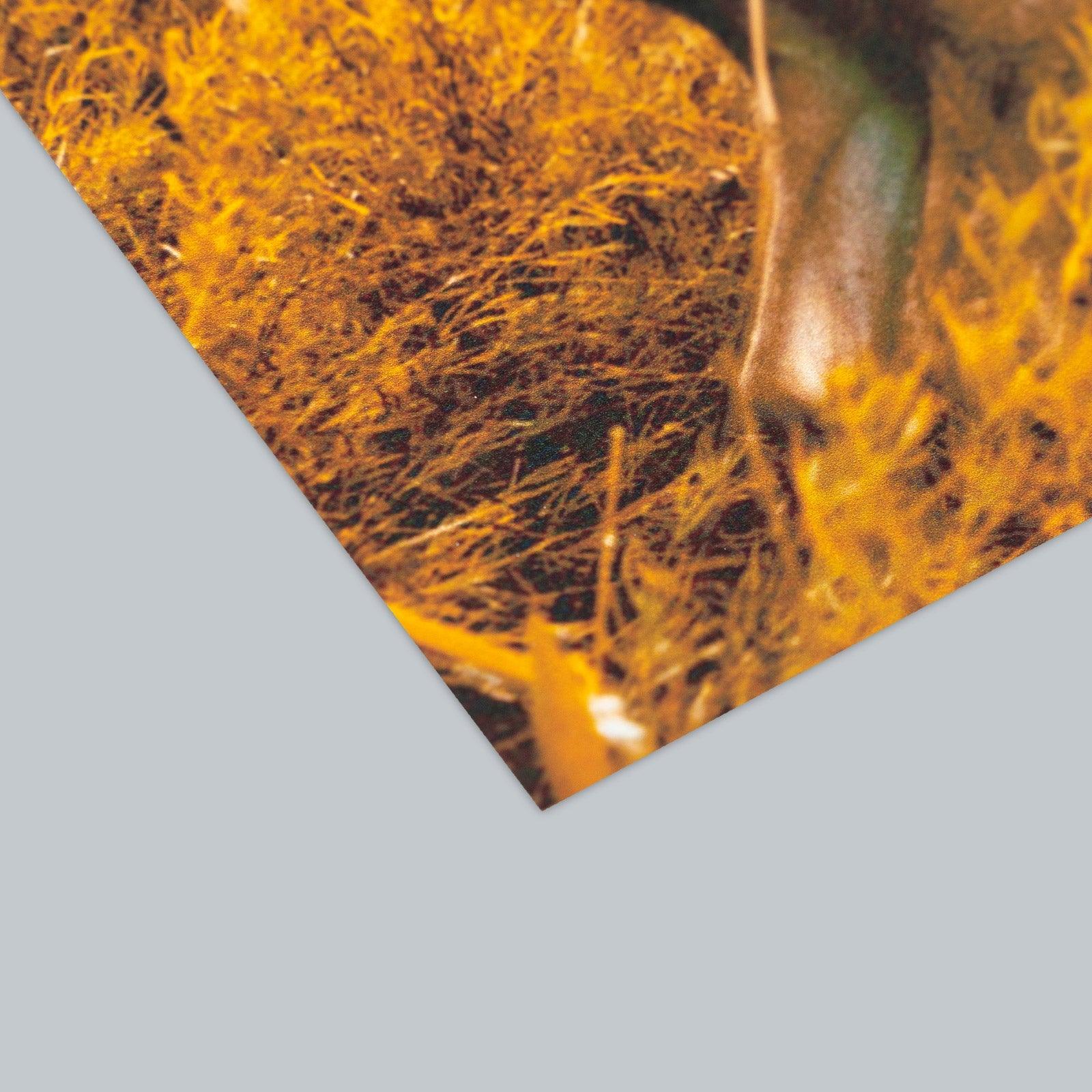 Galactic mechanism - ArtDeco Canvas