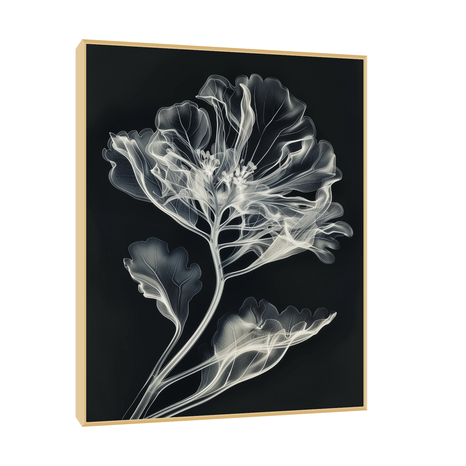 Flower X-Ray III