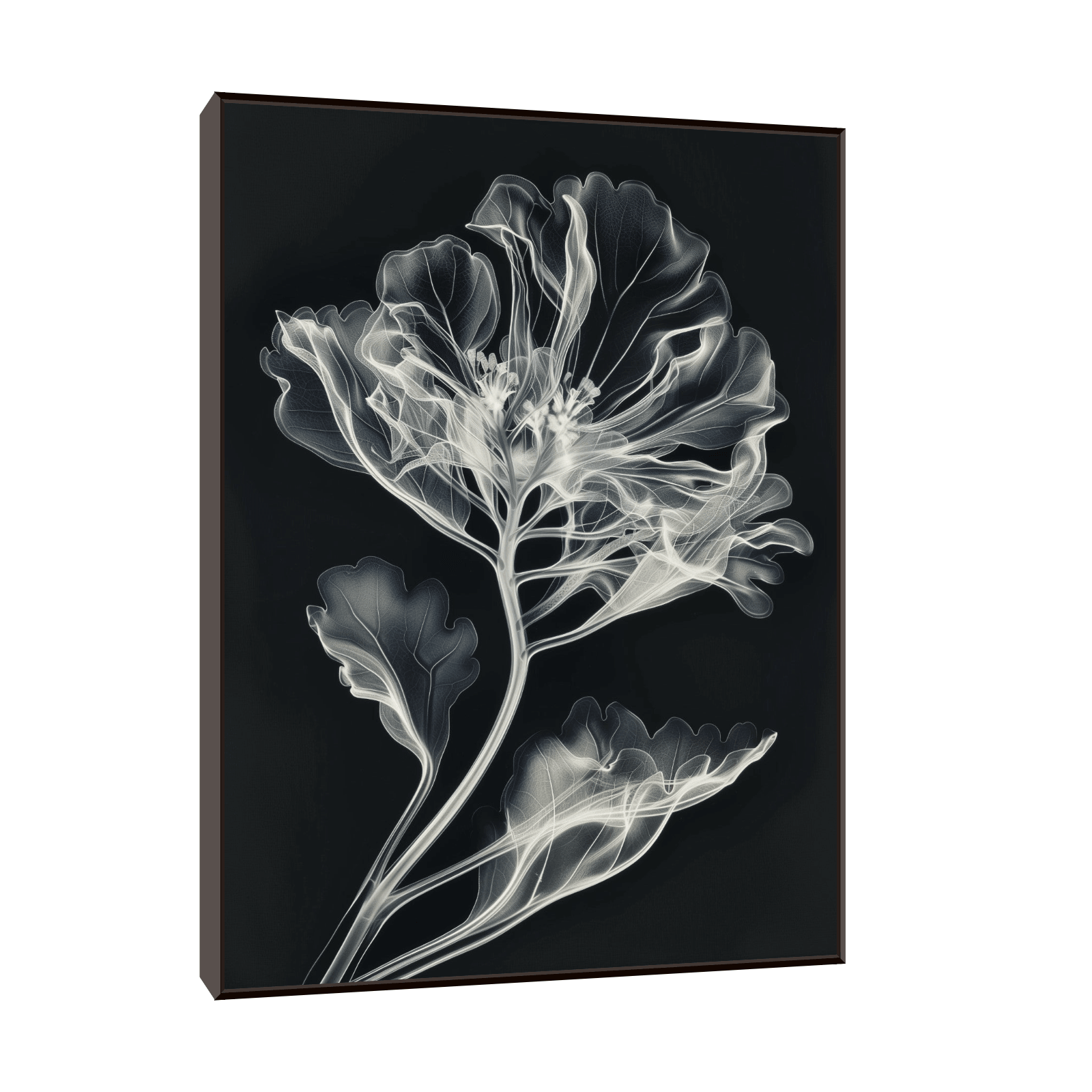 Flower X-Ray lll - ArtDeco Canvas