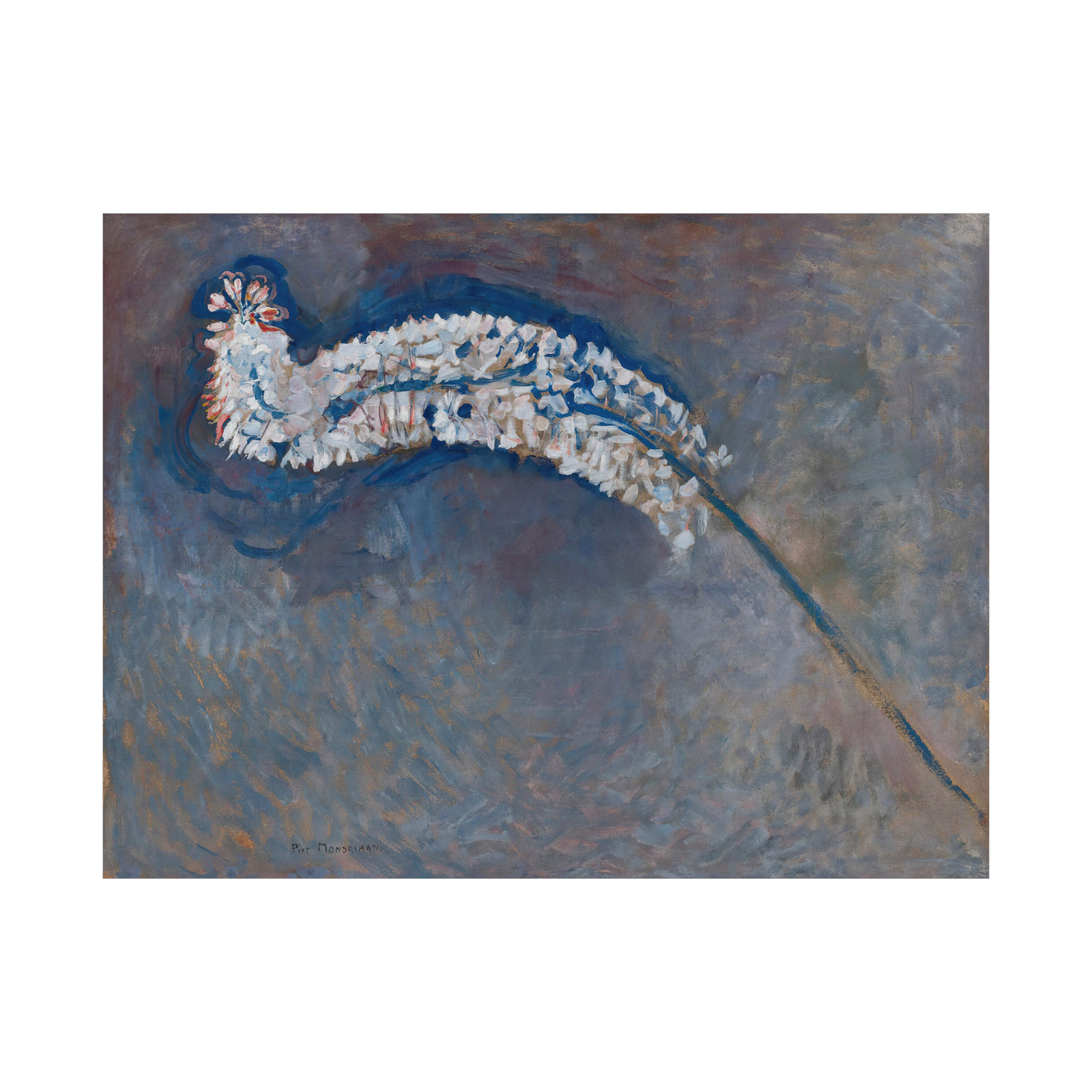 File created by SMART App.