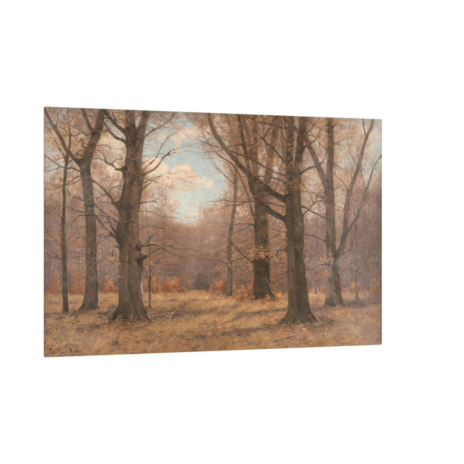 Late fall in the beech forest, Peter Paul Müller - ArtDeco Canvas