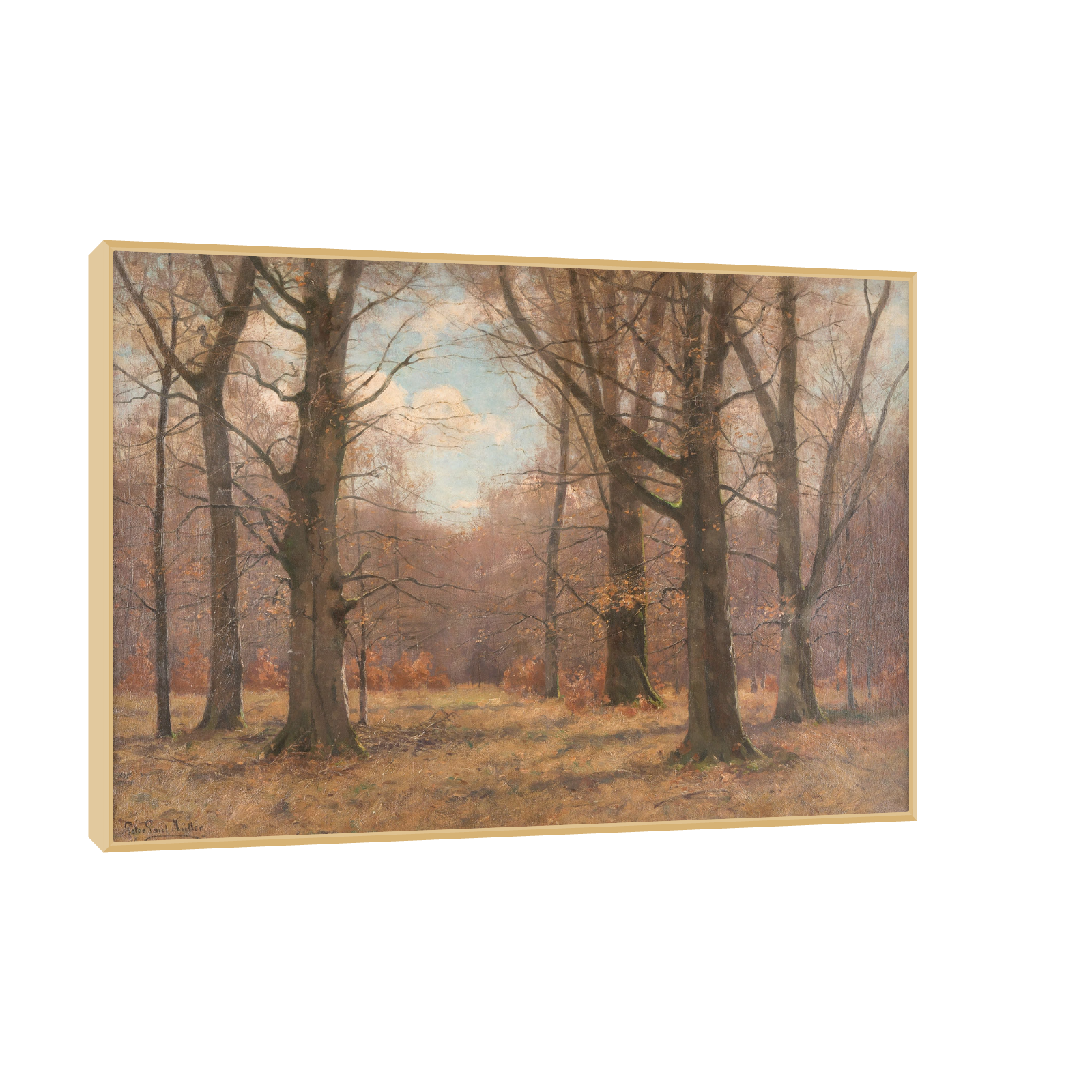 File created by SMART App.