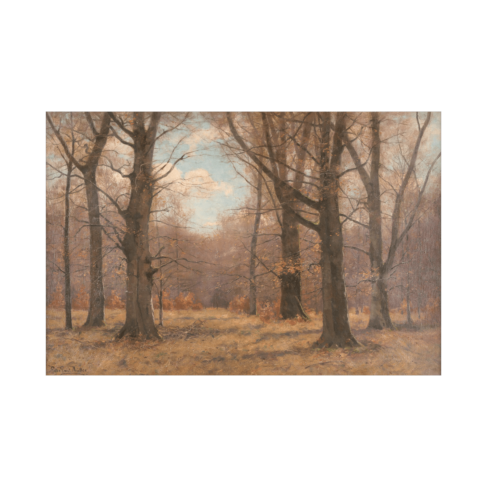 Late fall in the beech forest, Peter Paul Müller - ArtDeco Canvas