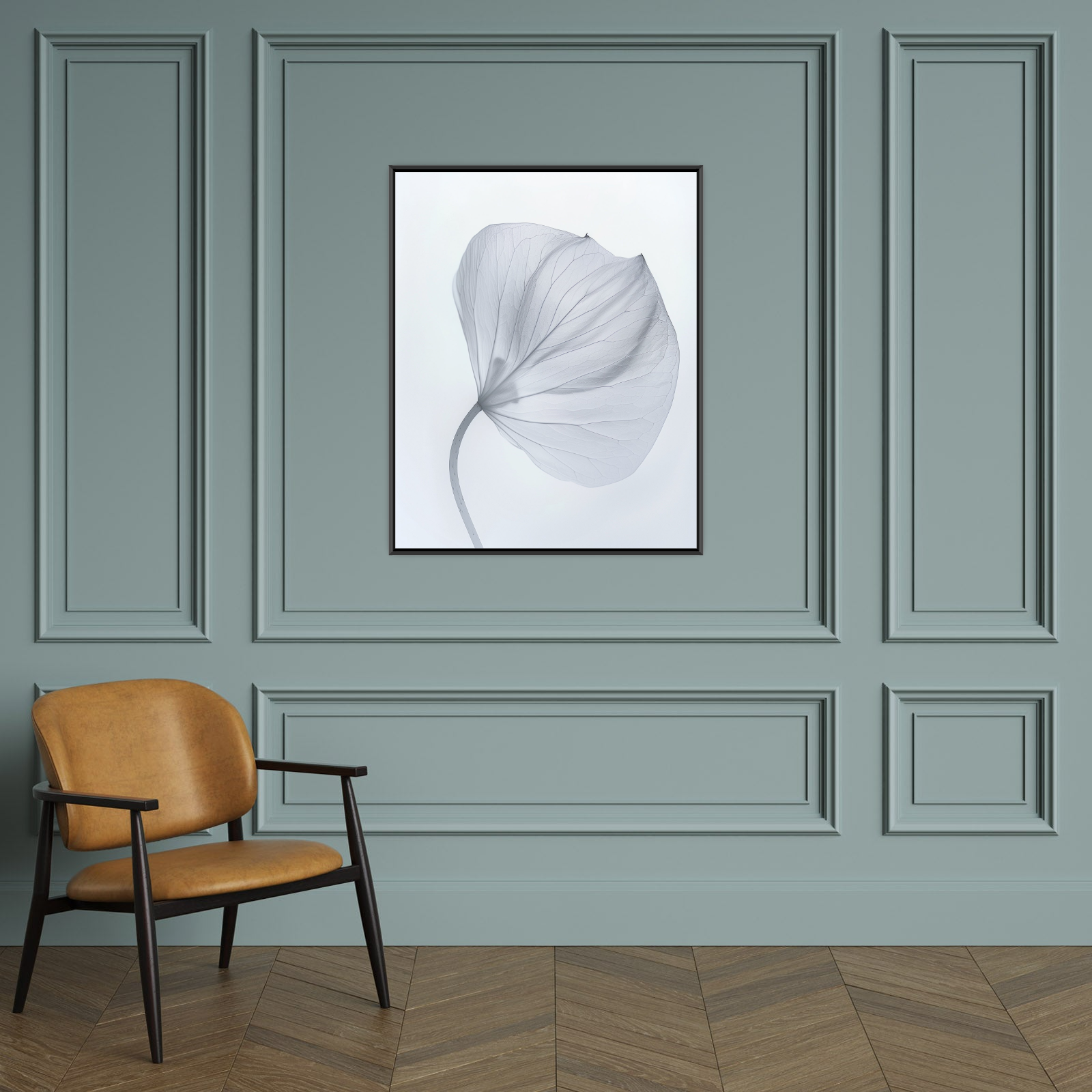 Leaf X-Ray