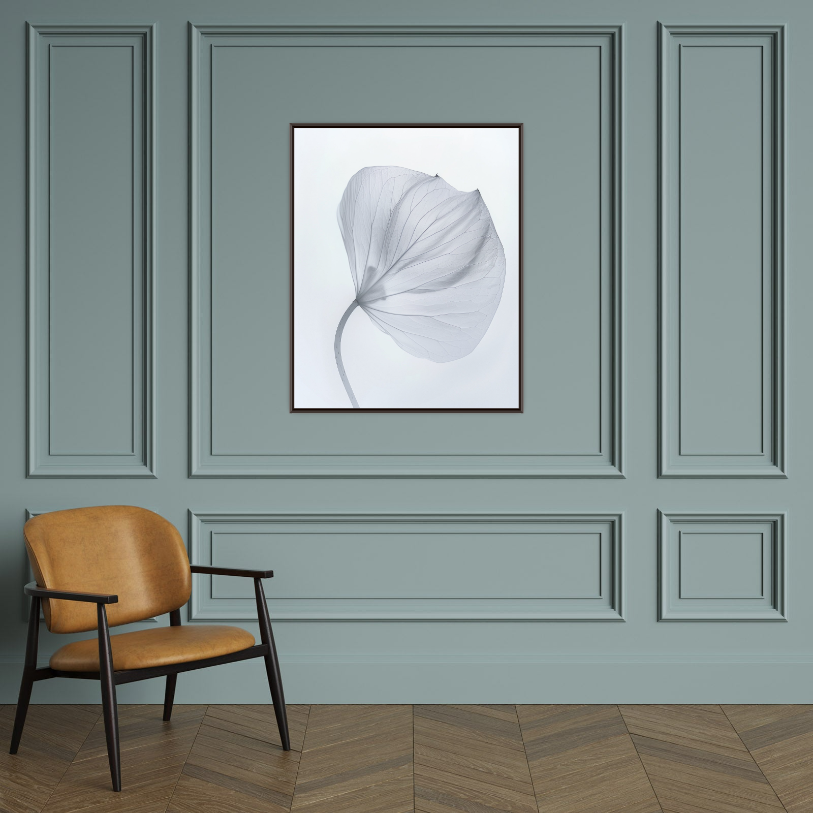 Leaf X-Ray