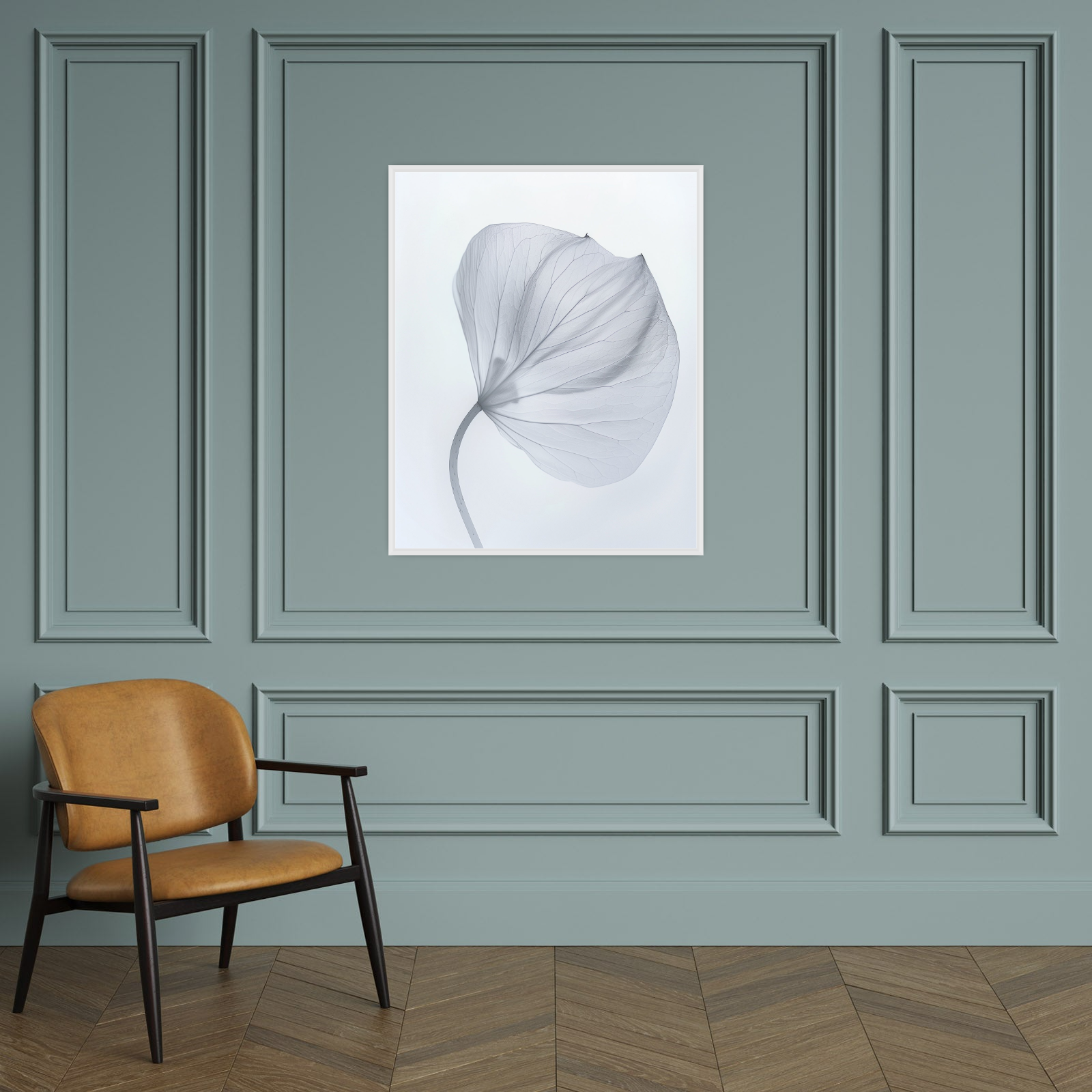 Leaf X-Ray