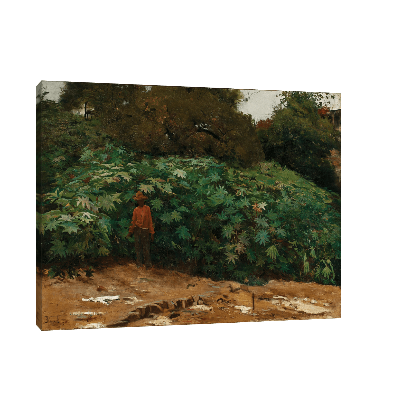 Mamoneiras – Morro de São Bento, Eliseu Visconti - ArtDeco Canvas