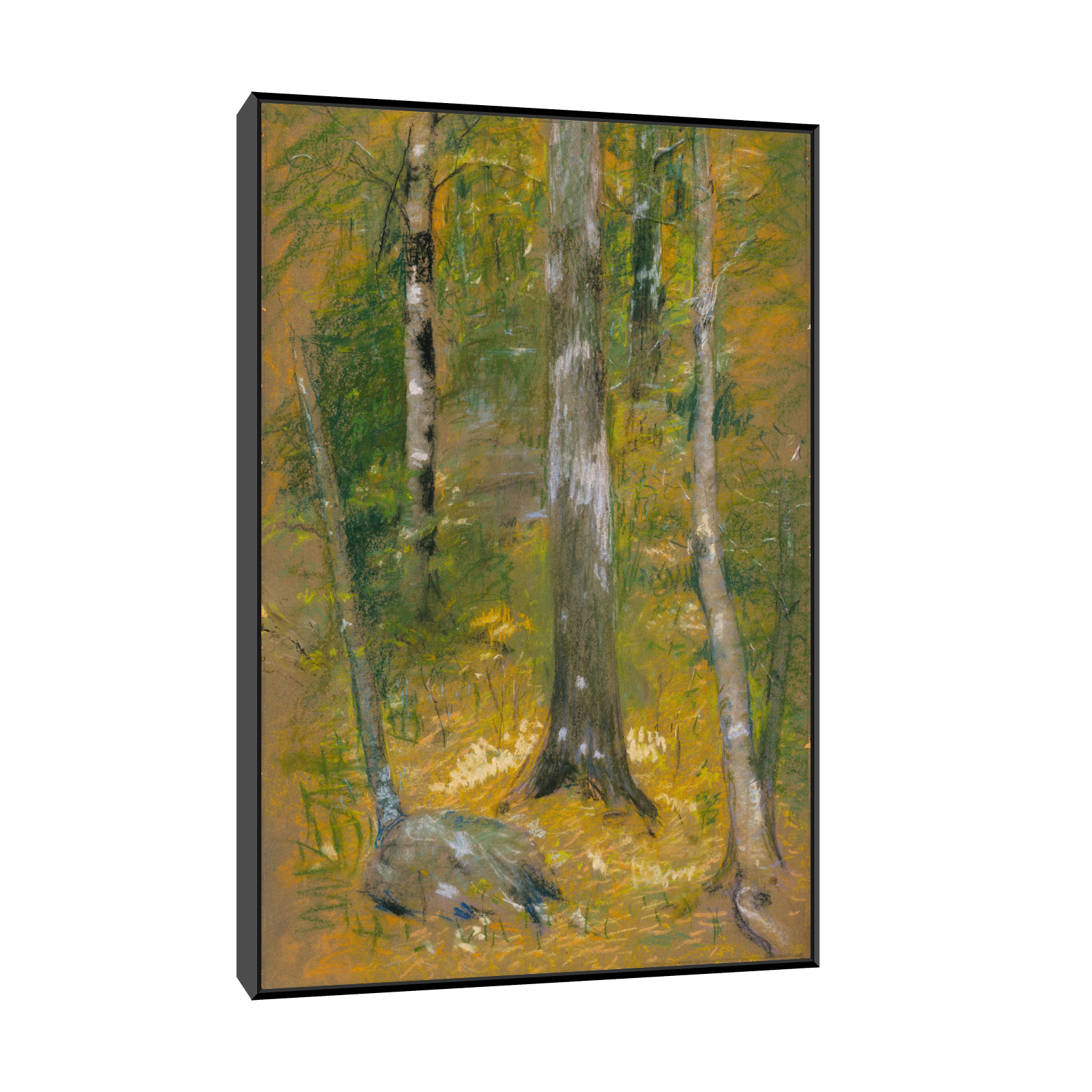 File created by SMART App.