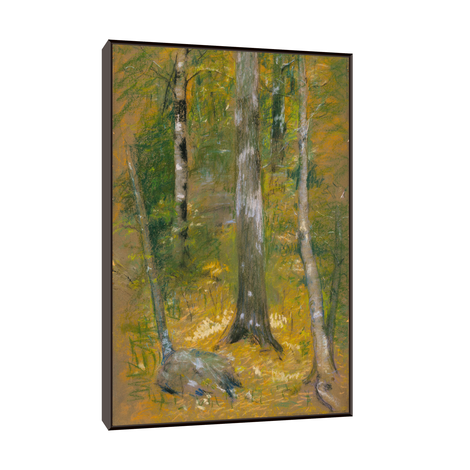 File created by SMART App.