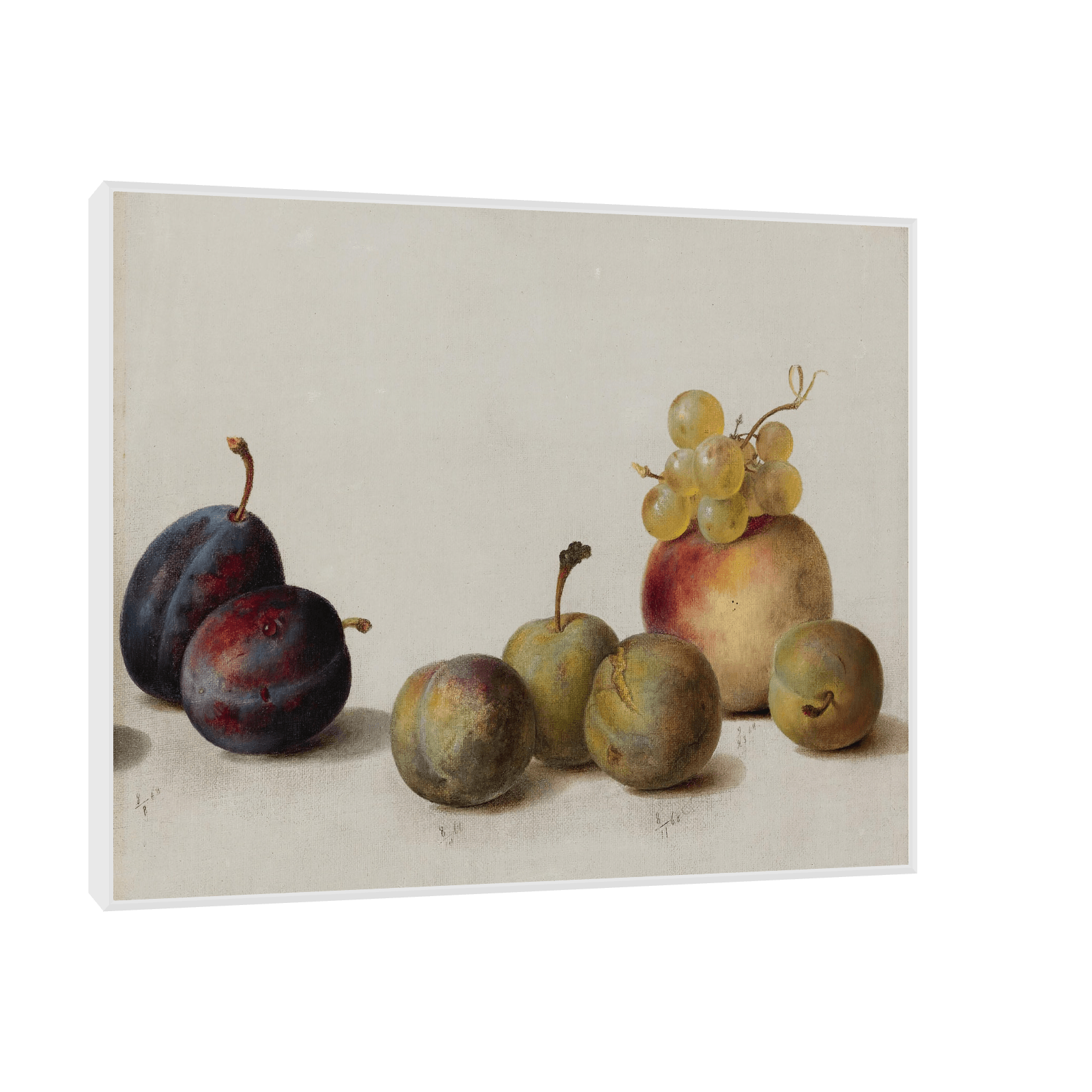 Plums, Peach And Grapes, Helen Searle - ArtDeco Canvas