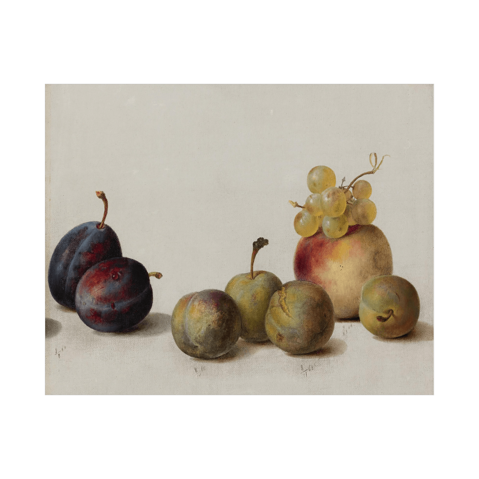 Plums, Peach And Grapes, Helen Searle - ArtDeco Canvas