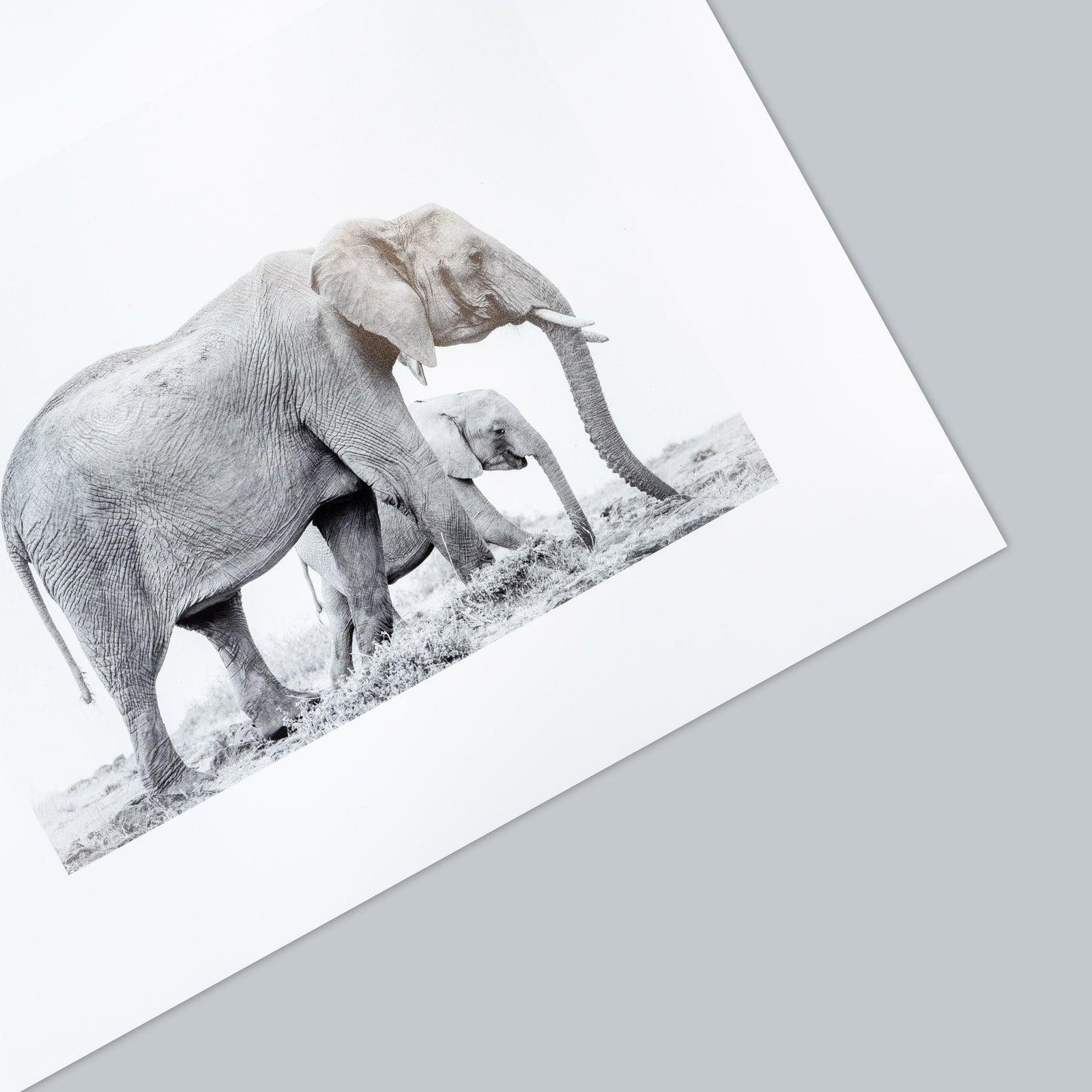 Golden circle on black&white - ArtDeco Canvas