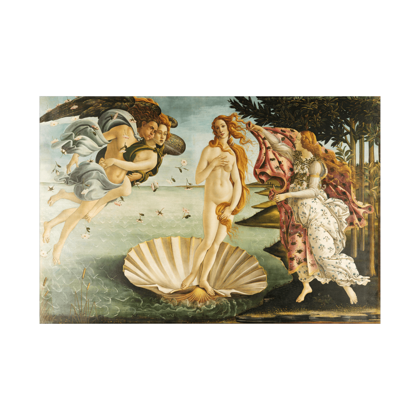 The Birth of Venus, Sandro Botticelli