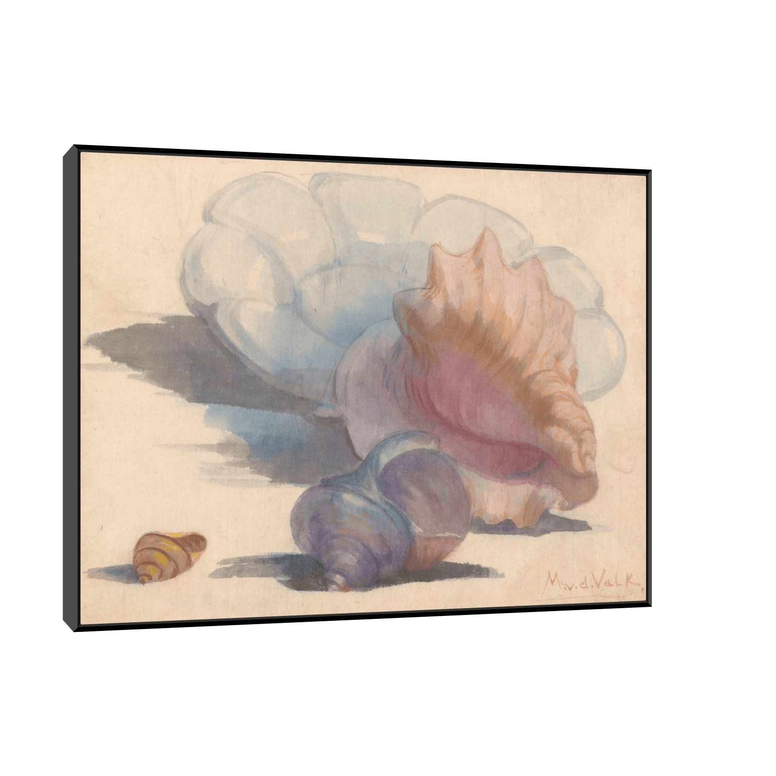 Three shells with a Delft folding dish, Maurits van der Valk - ArtDeco Canvas