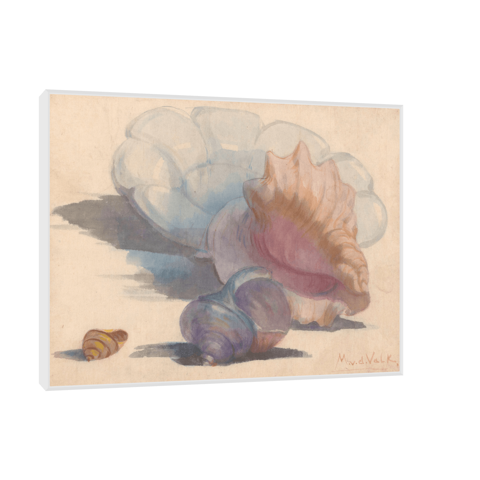 Three shells with a Delft folding dish, Maurits van der Valk - ArtDeco Canvas