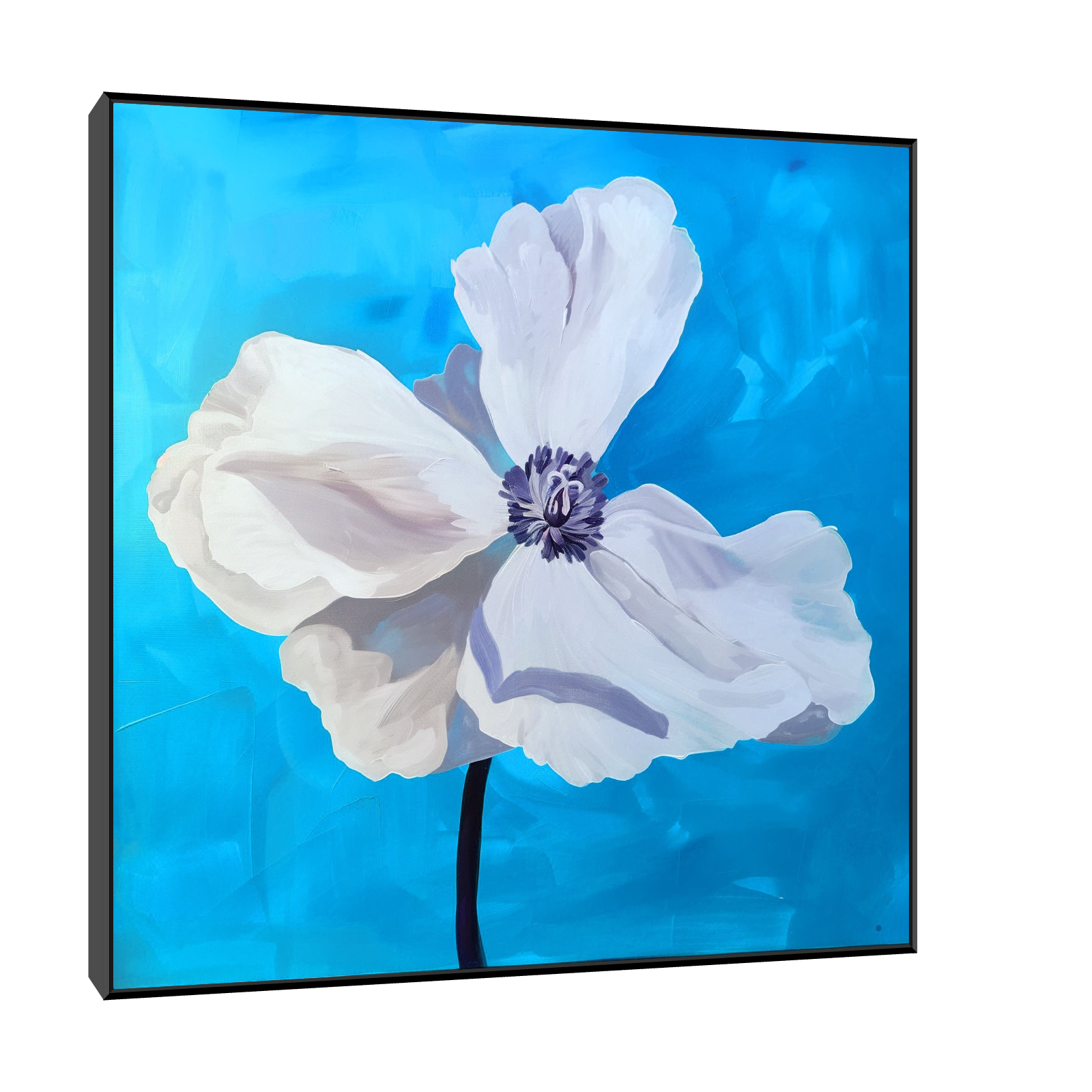 White flower on blue