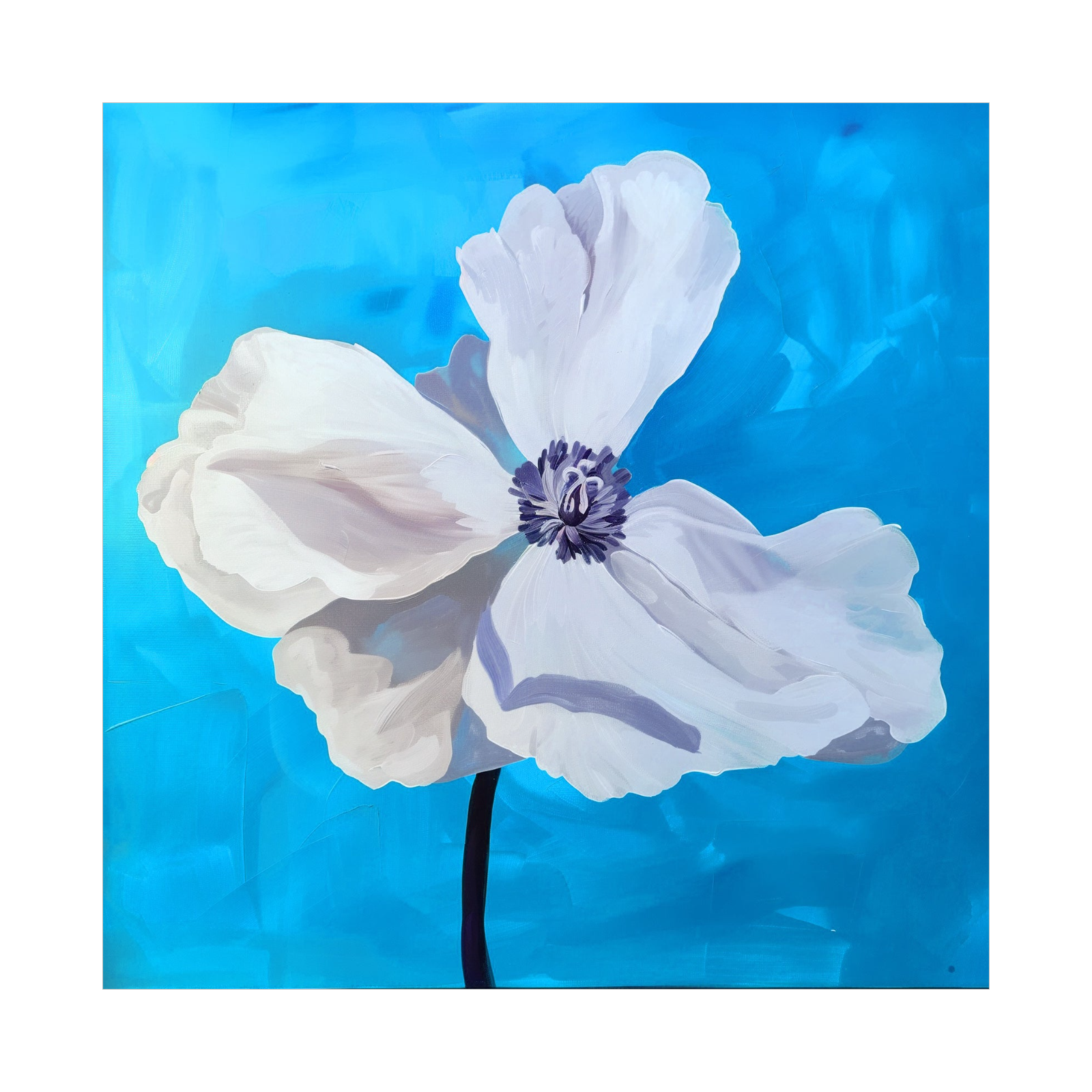 White flower on blue
