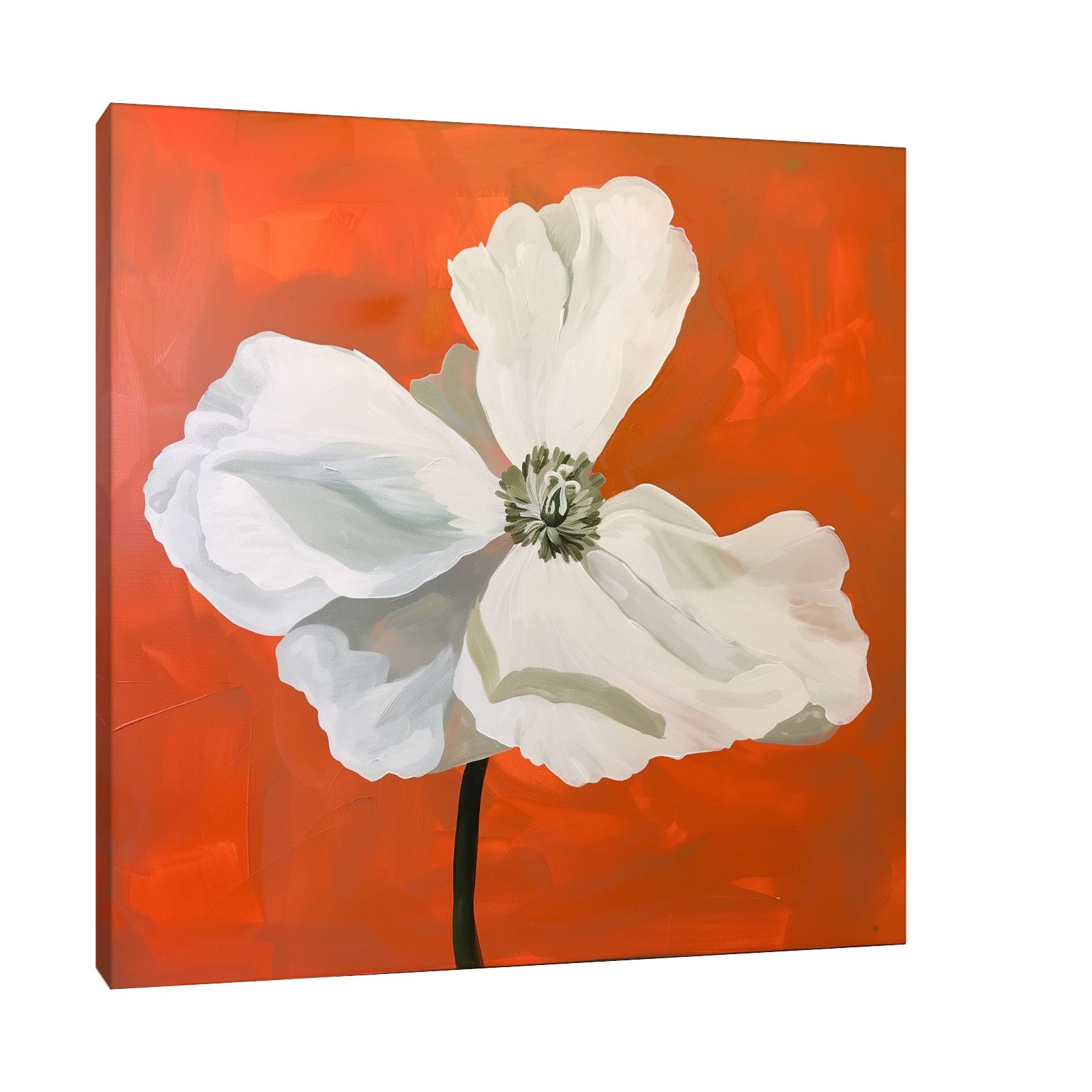 White flower on orange