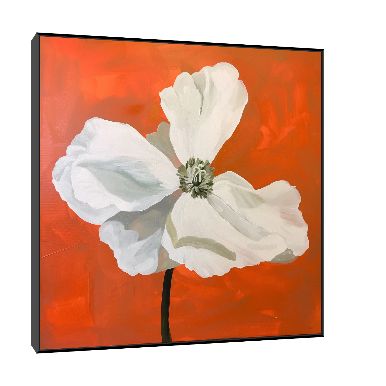 White flower on orange