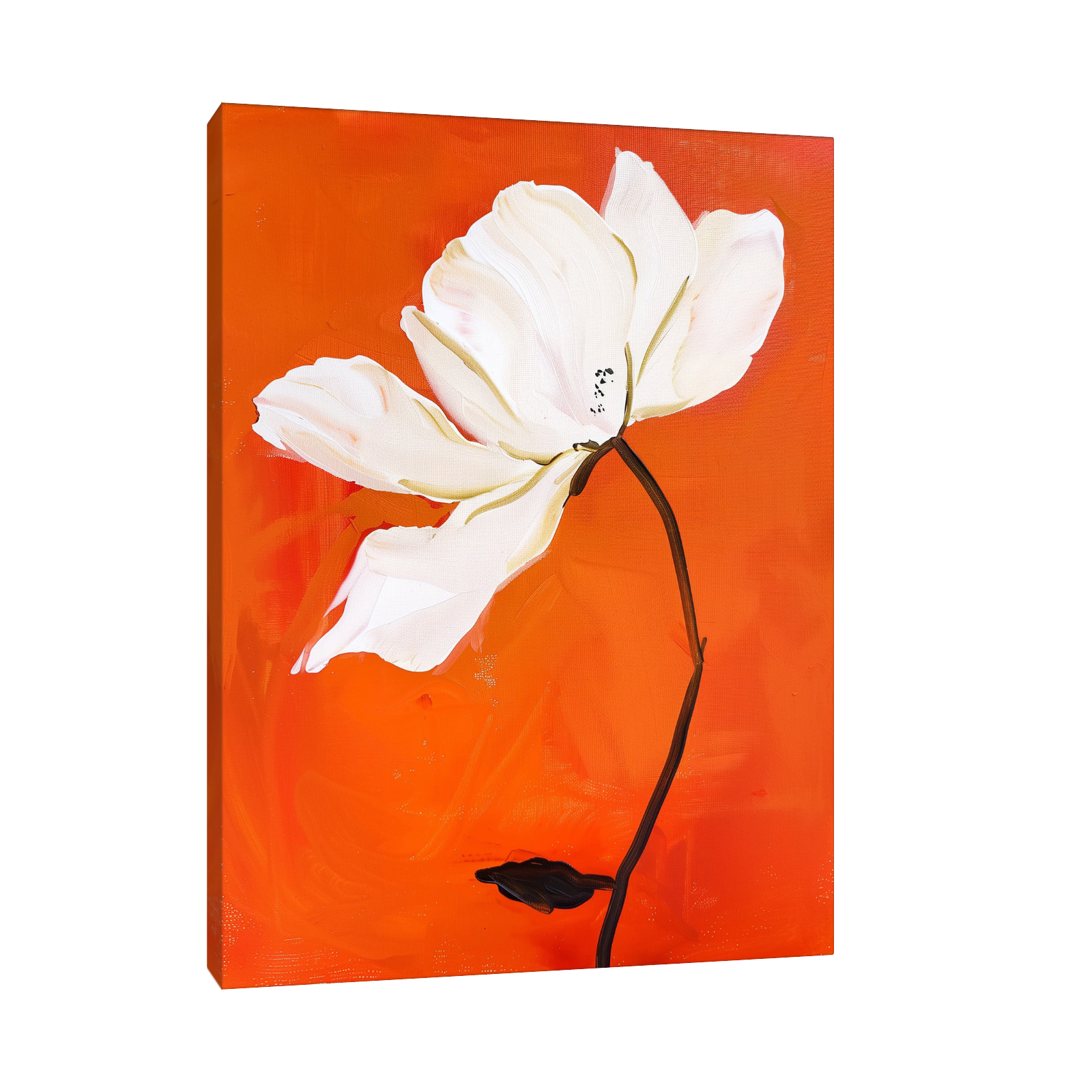 White flower on orange II