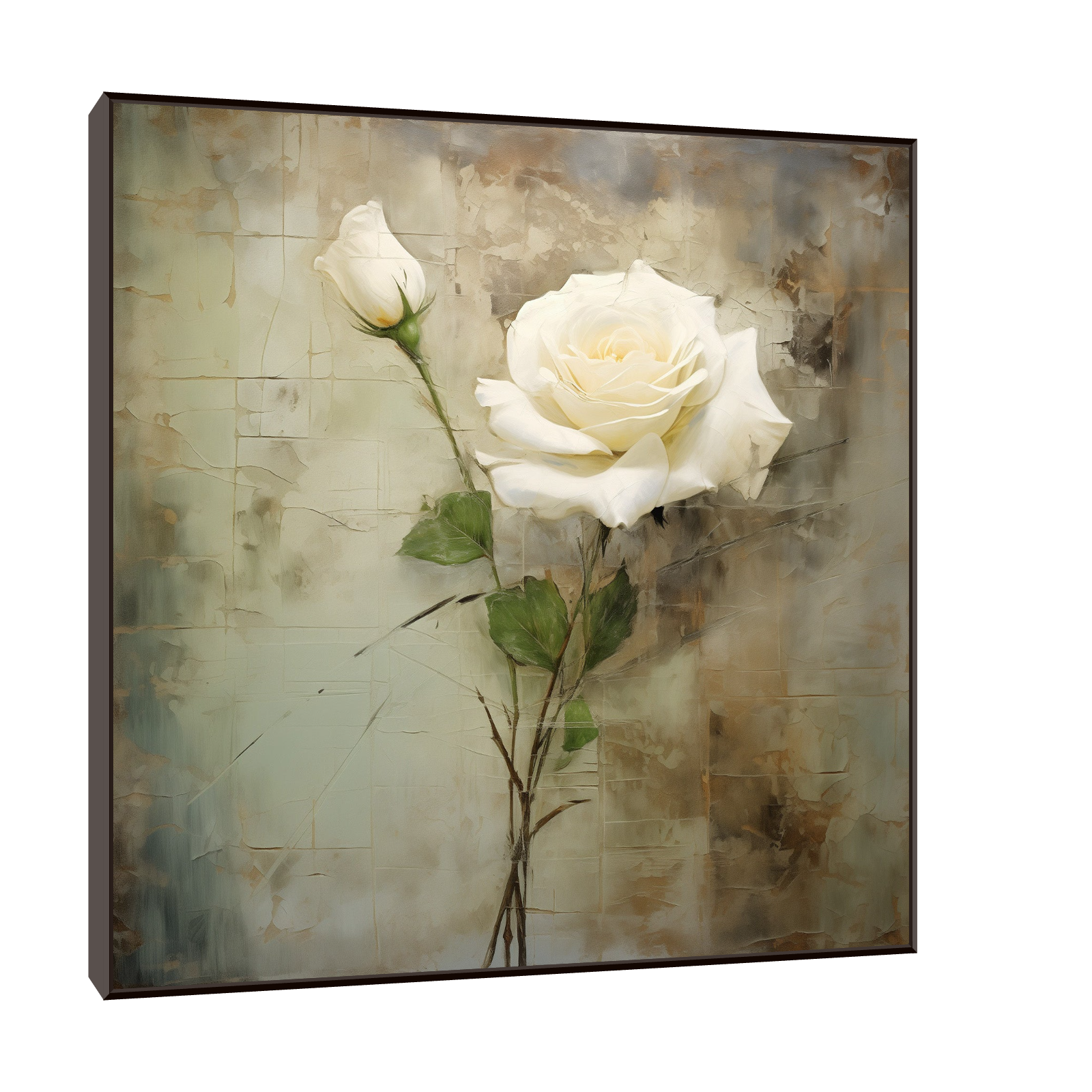 White rose