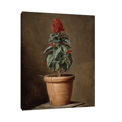 A Potted Plant, Henri-Horace Roland Delaporte - ArtDeco Canvas