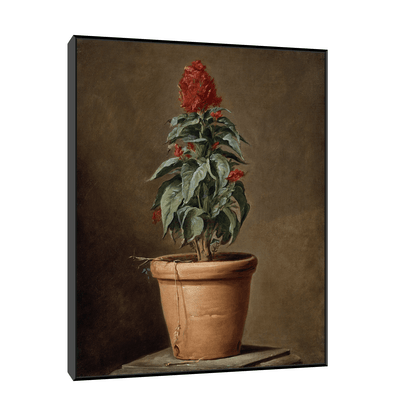 A Potted Plant, Henri-Horace Roland Delaporte - ArtDeco Canvas