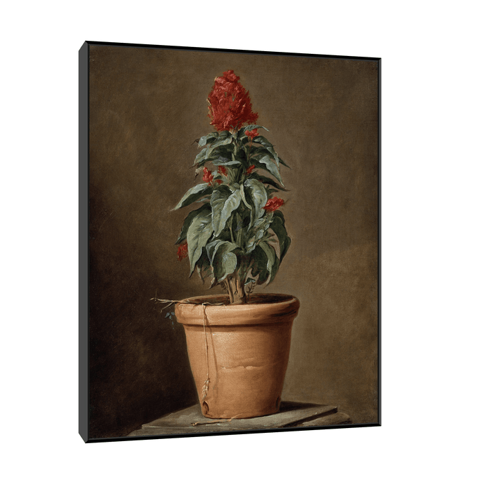 A Potted Plant, Henri-Horace Roland Delaporte - ArtDeco Canvas