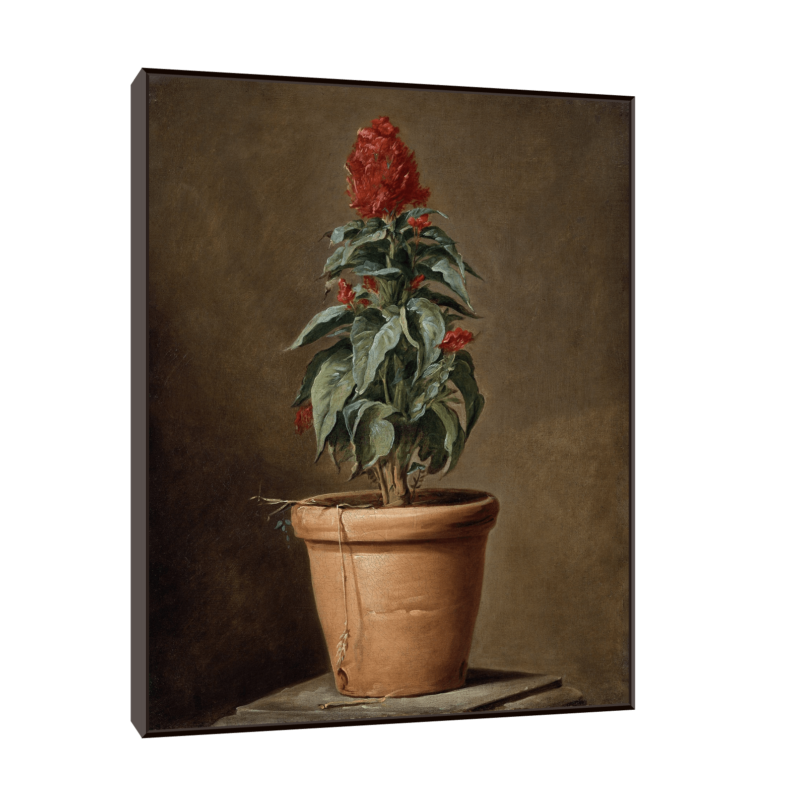 A Potted Plant, Henri-Horace Roland Delaporte - ArtDeco Canvas