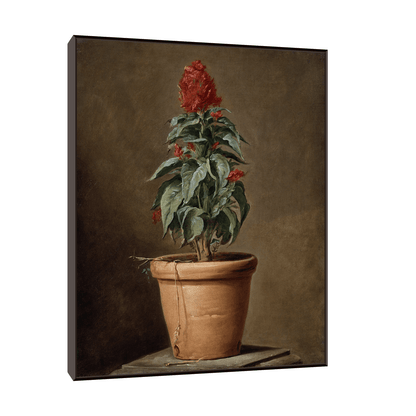 A Potted Plant, Henri-Horace Roland Delaporte - ArtDeco Canvas