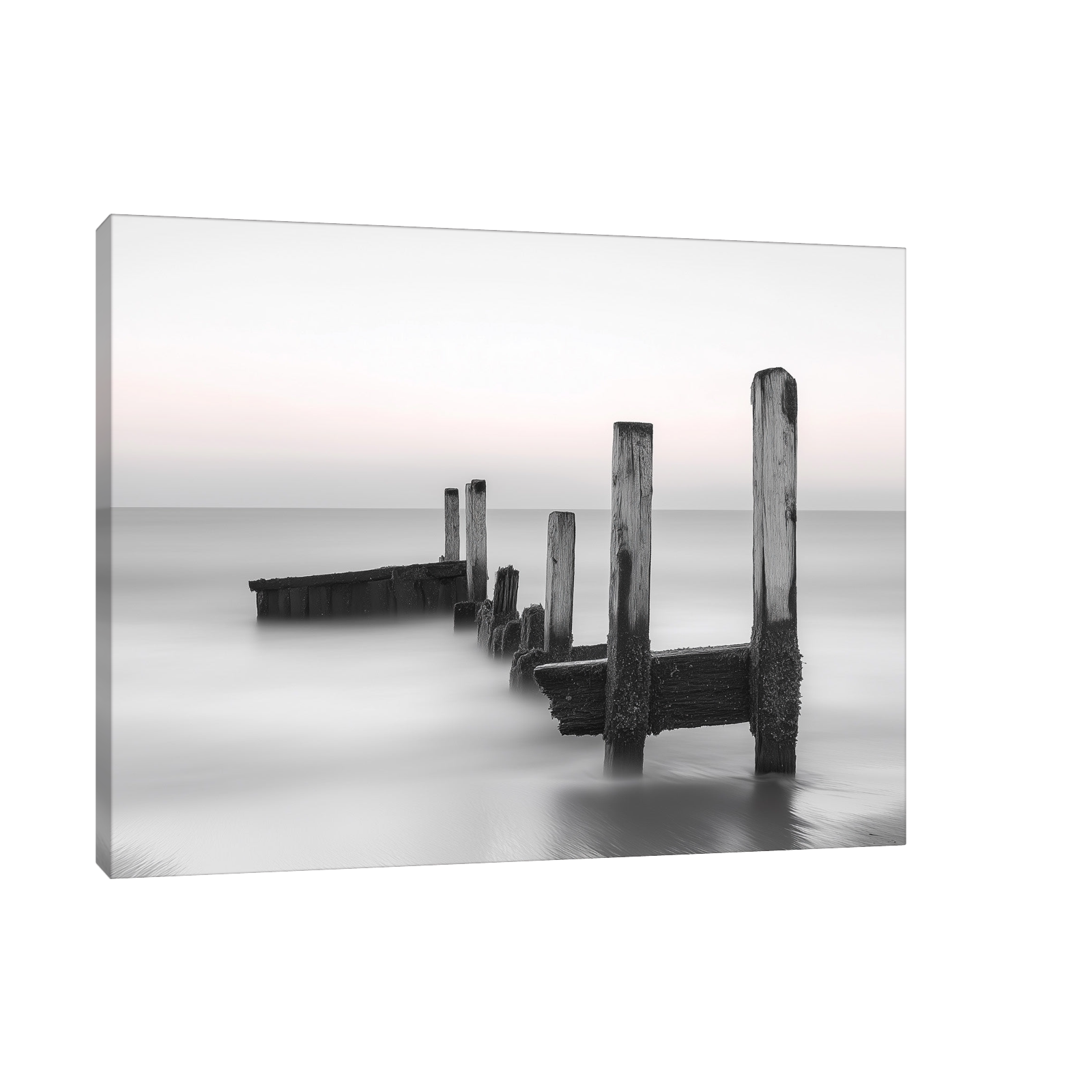 Black and White Coastal Minimalism