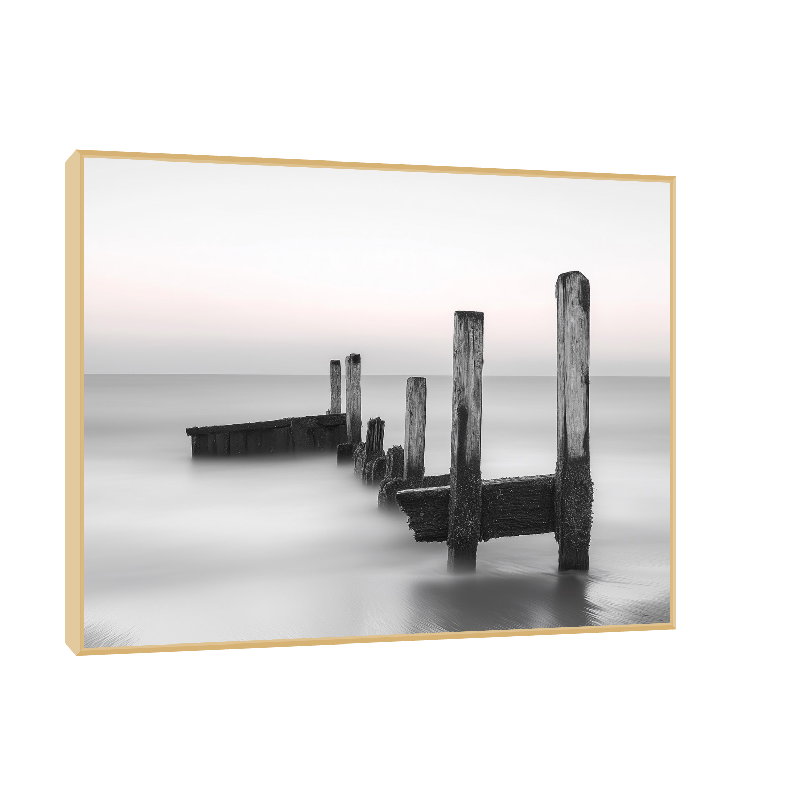 Black and White Coastal Minimalism