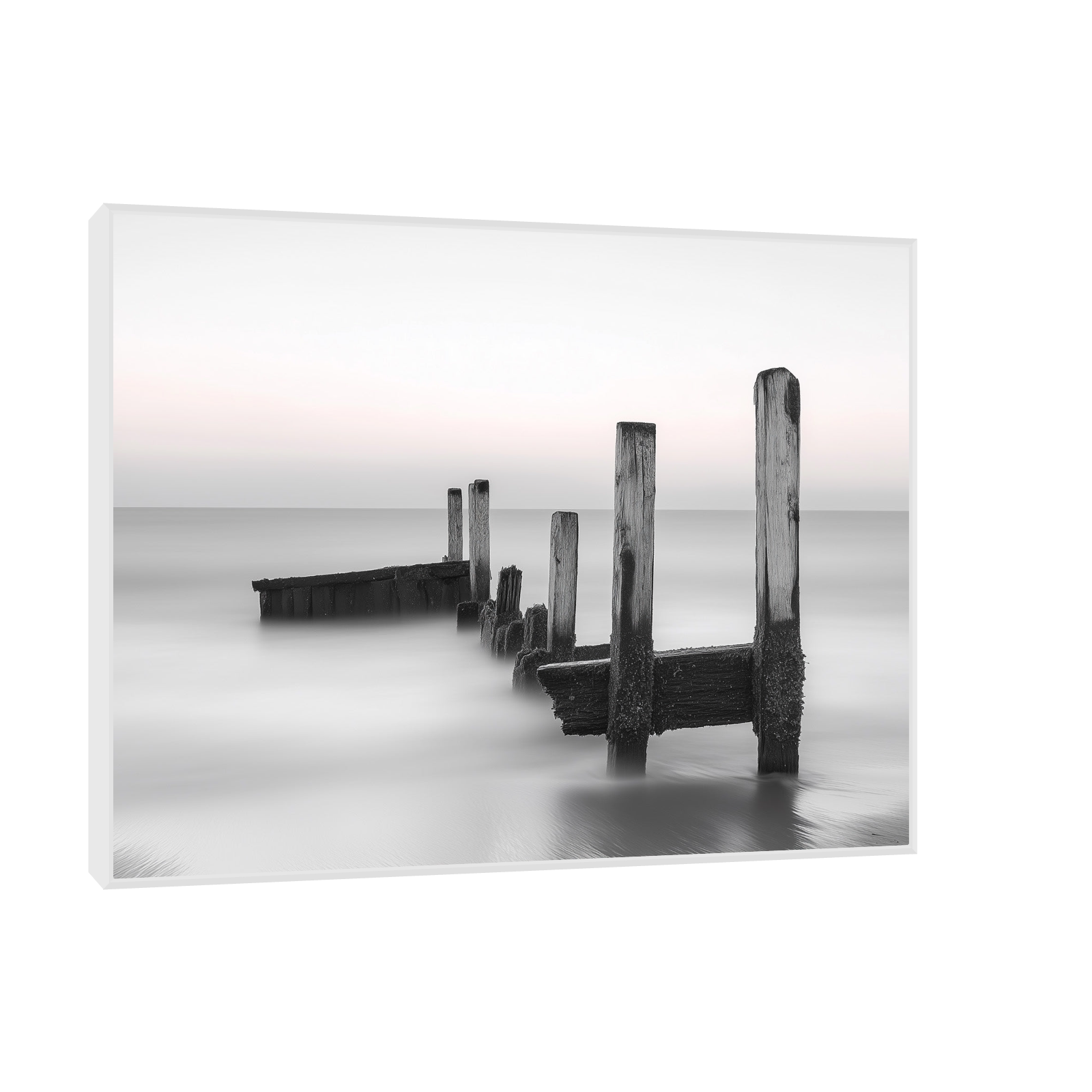 Black and White Coastal Minimalism