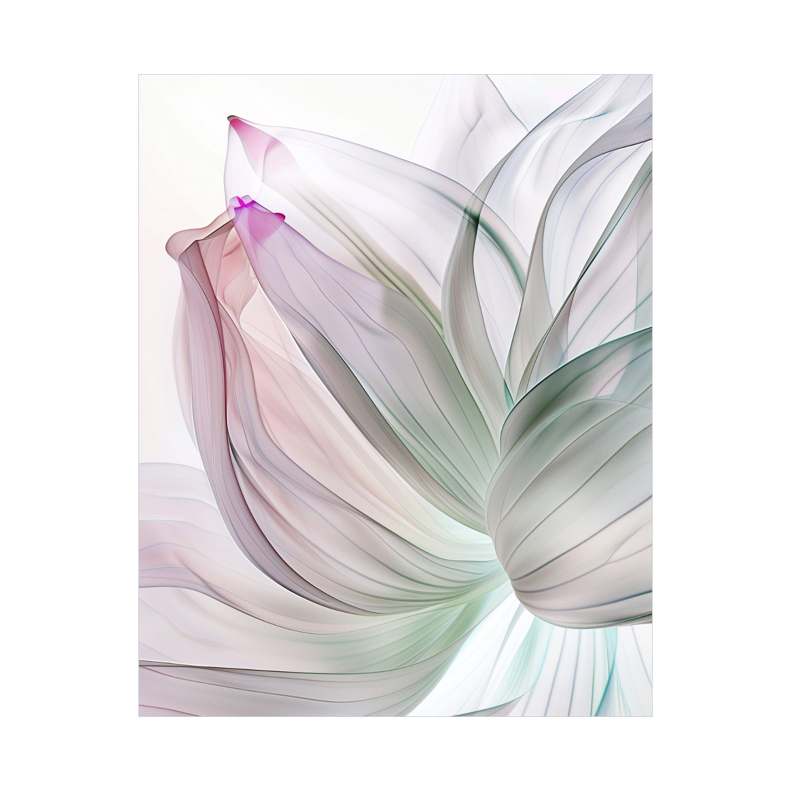 Blossom