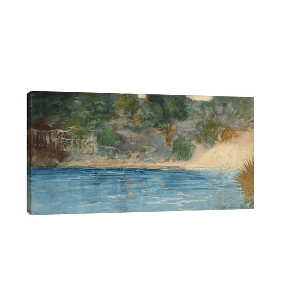 Blue Spring, Florida, Winslow Homer - ArtDeco Canvas