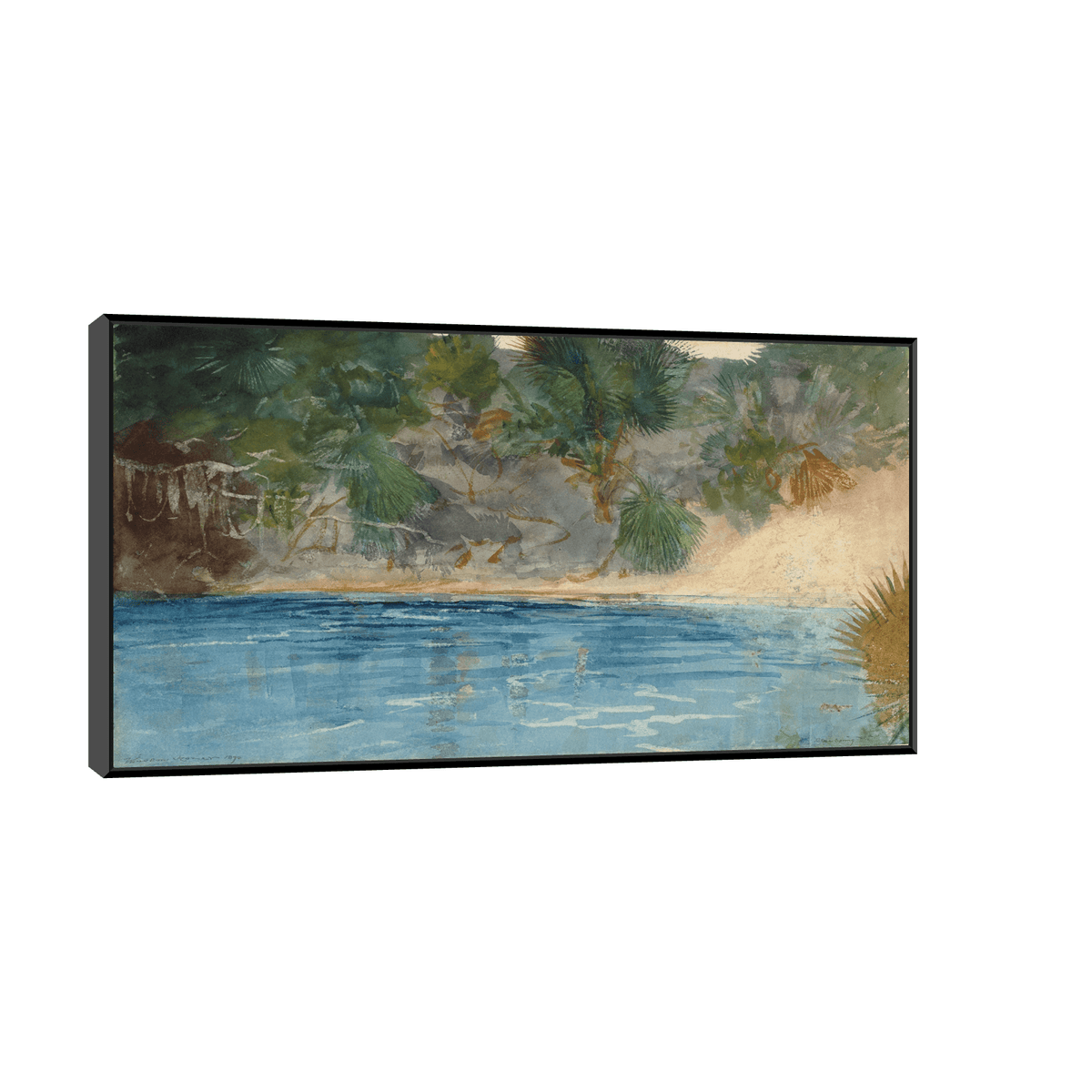 Blue Spring, Florida, Winslow Homer - ArtDeco Canvas