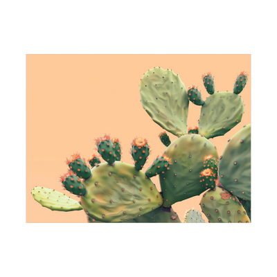 Cactus series II