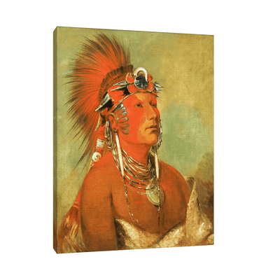 Cannot Be Thrown Down, a Warrior, George Catlin - ArtDeco Canvas
