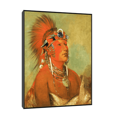 Cannot Be Thrown Down, a Warrior, George Catlin - ArtDeco Canvas