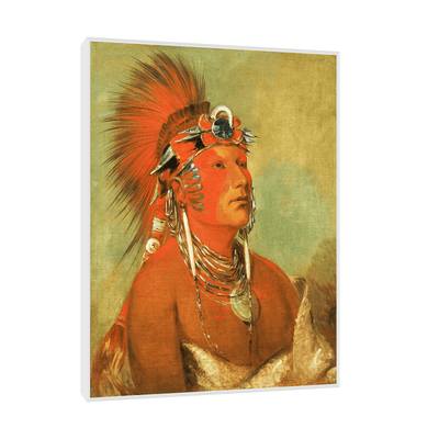 Cannot Be Thrown Down, a Warrior, George Catlin - ArtDeco Canvas
