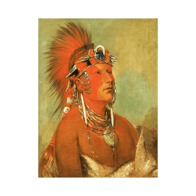 Cannot Be Thrown Down, a Warrior, George Catlin - ArtDeco Canvas